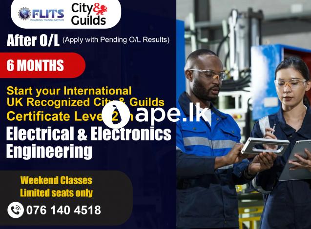 C&G Level 2 in Electrical&Electronics Engineering